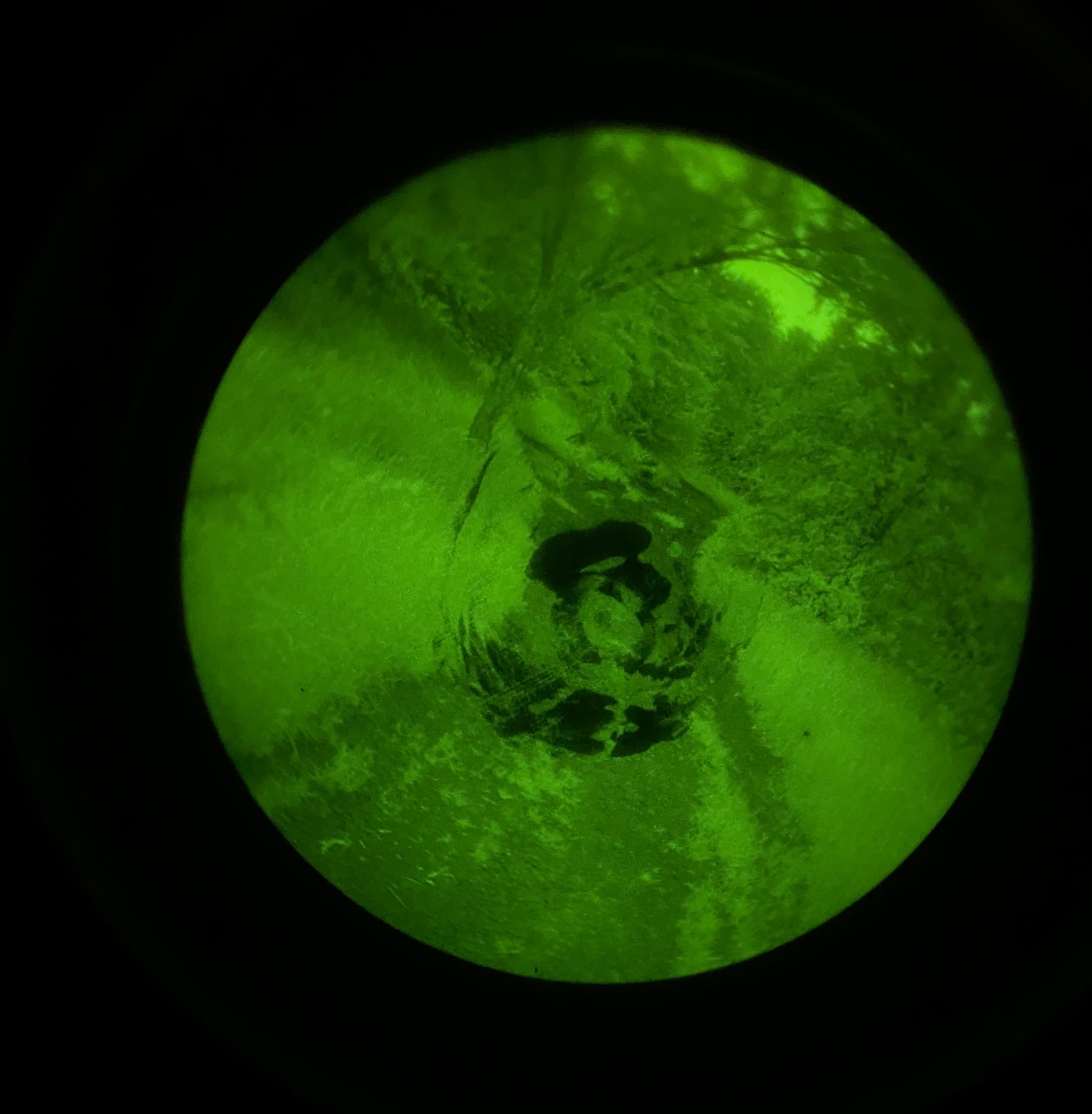 Same kind of tube performing in the field