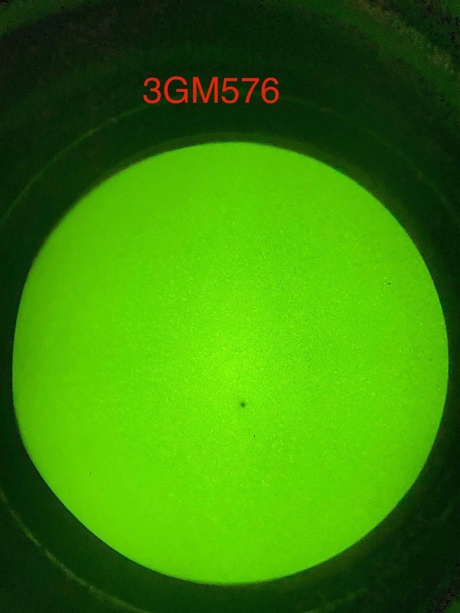 Omni VII 3GM576 through the tube