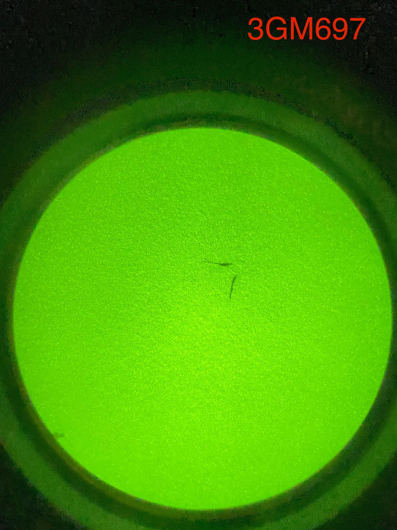 Omni VII 3GM697 through the tube